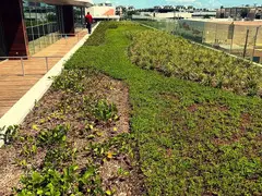 Efficient Irrigation Design Solutions Across California – Call Today