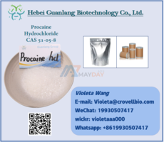 China Factory Procaine HCl CAS 51-05-8