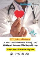 How can I use a Hospital CEO Email List to convince the CEOs to purchase from me?