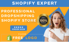 I Will Build Your Shopify Store And Dropshipping Website - 1