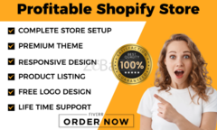 I Will Build Your Shopify Store And Dropshipping Website