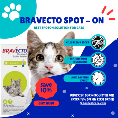 Get 10% Off and Free Shipping on Bravecto Spot-On for Cats! - 1