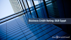 Credit Rating Analysis