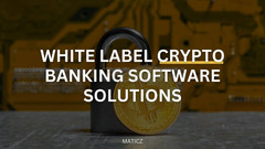 Adapt Maticz's Crypto Banking Software and Redefine Financial Horizons