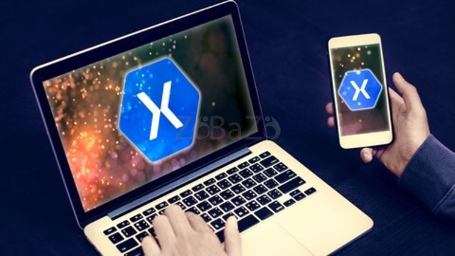 Unlock Your Mobile App Potential: Hire Xamarin Freelancers from Paperub - 1/1