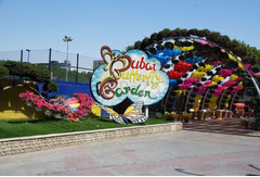 Dubai Butterfly Garden Tickets - 1