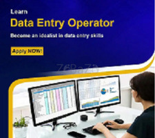 Data Entry Operator - 1