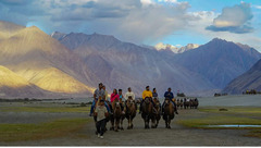 23 Leh Ladakh Tour Packages - Upto 30% OFF - 1